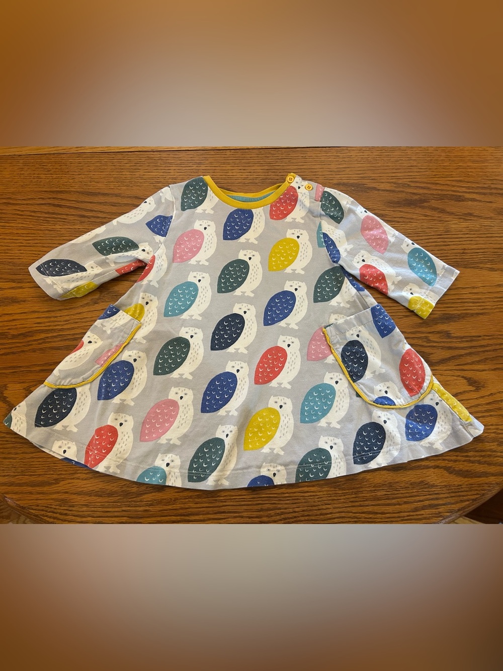 Mini Boden Girls Multicolor Owl Print Dress with Pockets